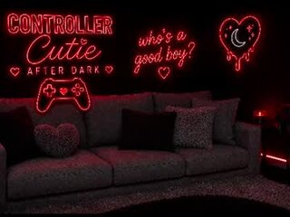 Controllercutie